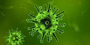 virus